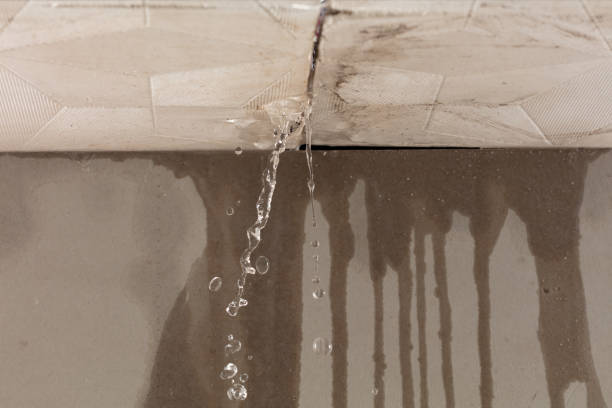 Professional Sewage Cleanup technician working in Hampshire, IL
